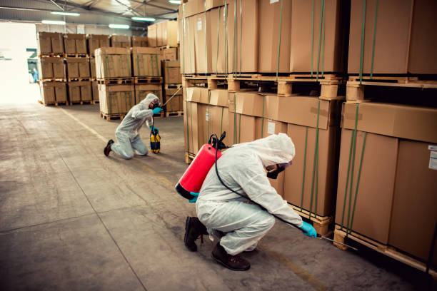 Pest Prevention Services in Bull Run, VA