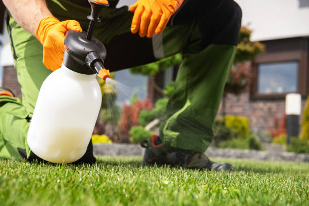 Best Bed Bug Extermination  in Bull Run, VA
