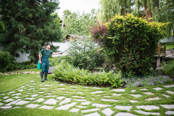 Best Ant Control Services  in Bull Run, VA