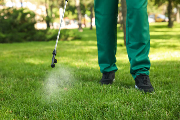Best Affordable Pest Control Services  in Bull Run, VA