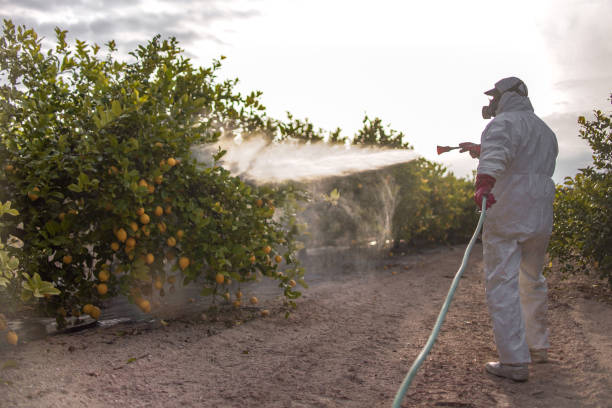 Best Commercial Pest Control Services  in Bull Run, VA