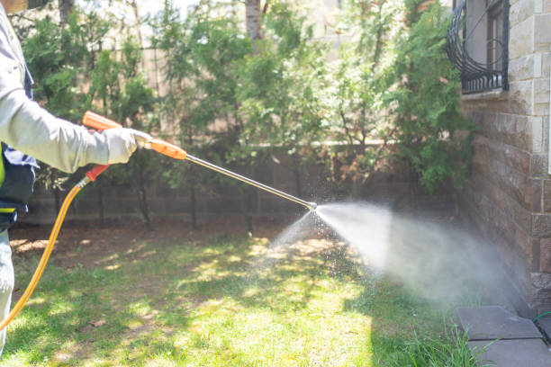 Best Rodent Control Near Me  in Bull Run, VA