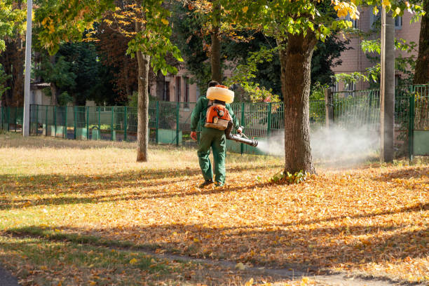 Best Pest Removal Services  in Bull Run, VA