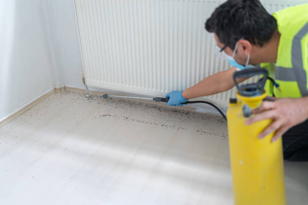 Best Pest Removal Services  in Bull Run, VA